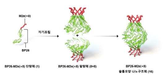 전상용 KAIST 교수 연구팀이 개발한 '범용성 인플루엔자 나노백신 모식도'. KAIST 제공